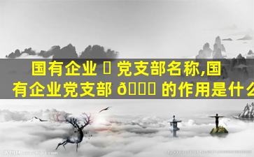 国有企业 ☘ 党支部名称,国有企业党支部 🍀 的作用是什么